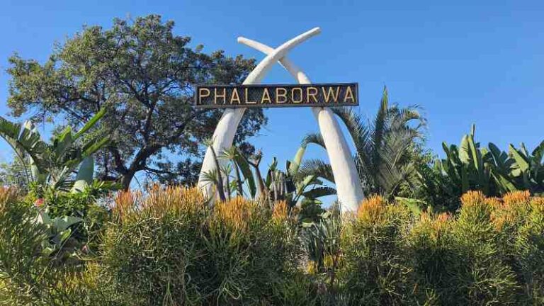 Seat Covers in Phalaborwa