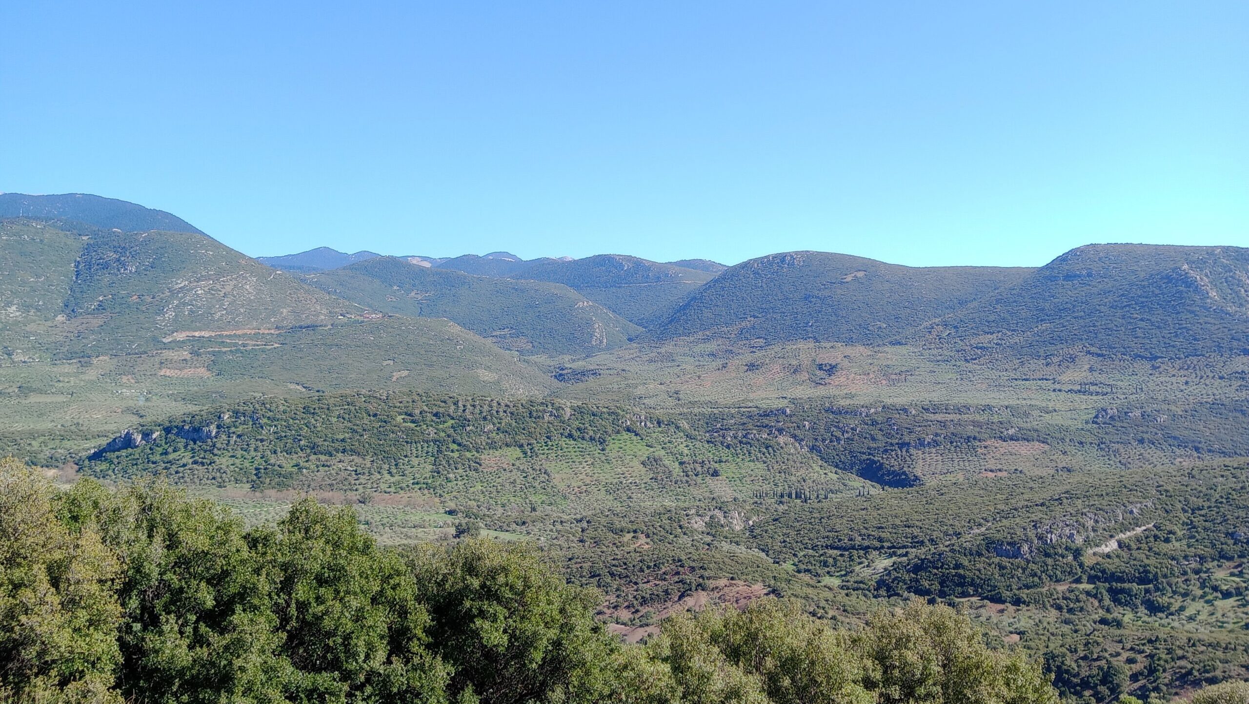 Seat Covers in Mankweng