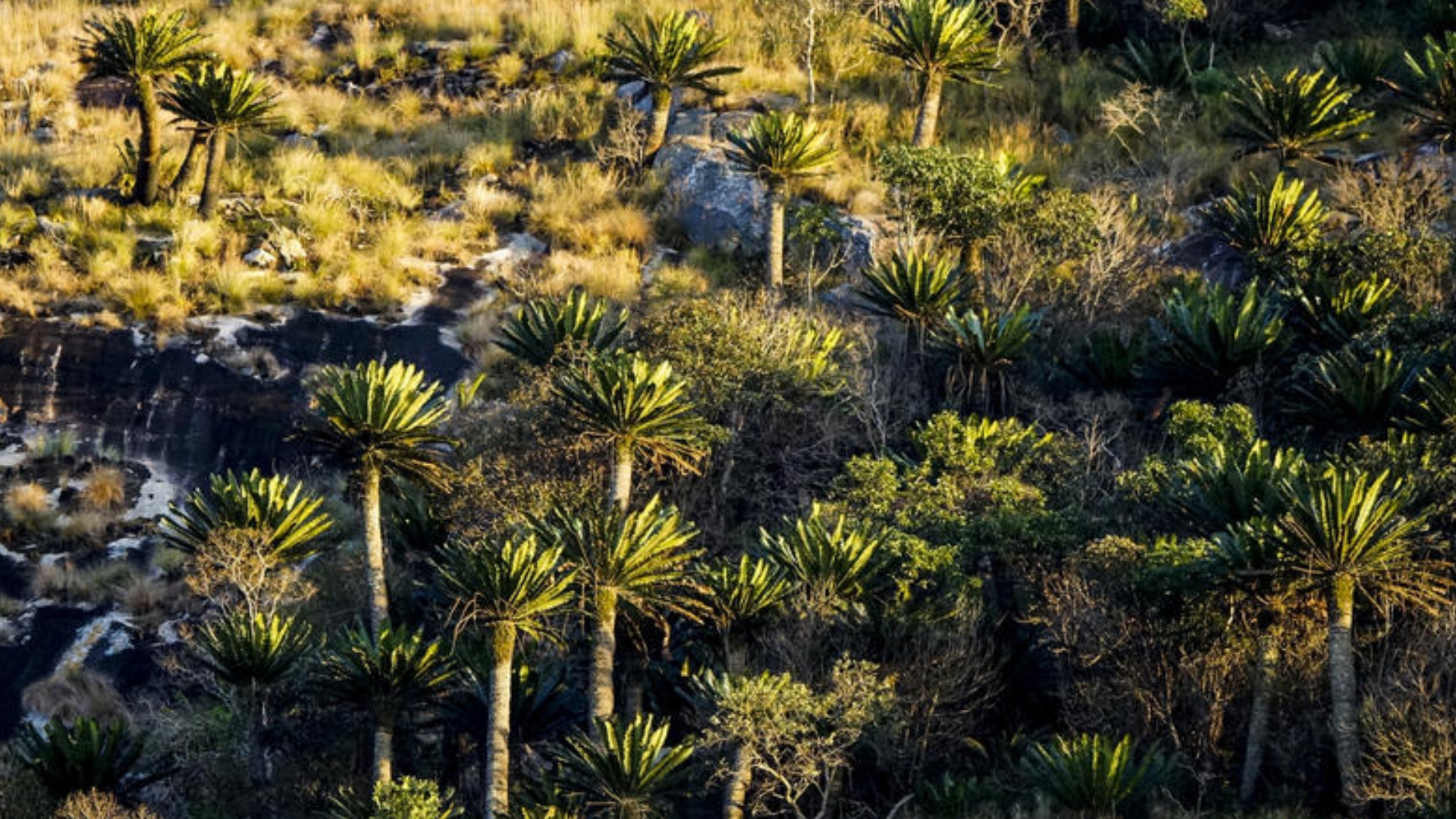 Seat Covers in Modjadjiskloof