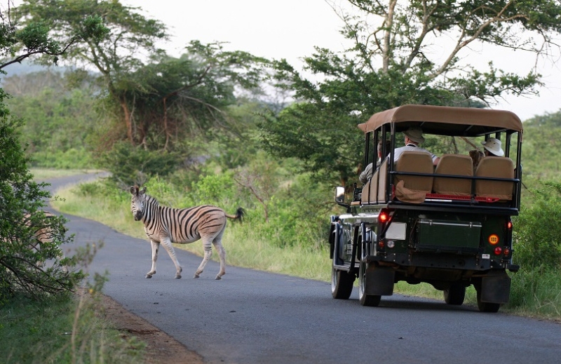 Stealth-Seat-Covers-Best-Safari-Vehicle-Game-Viewer-Seat-Covers-Polokwane-Limpopo-South-Africa-Near-Me