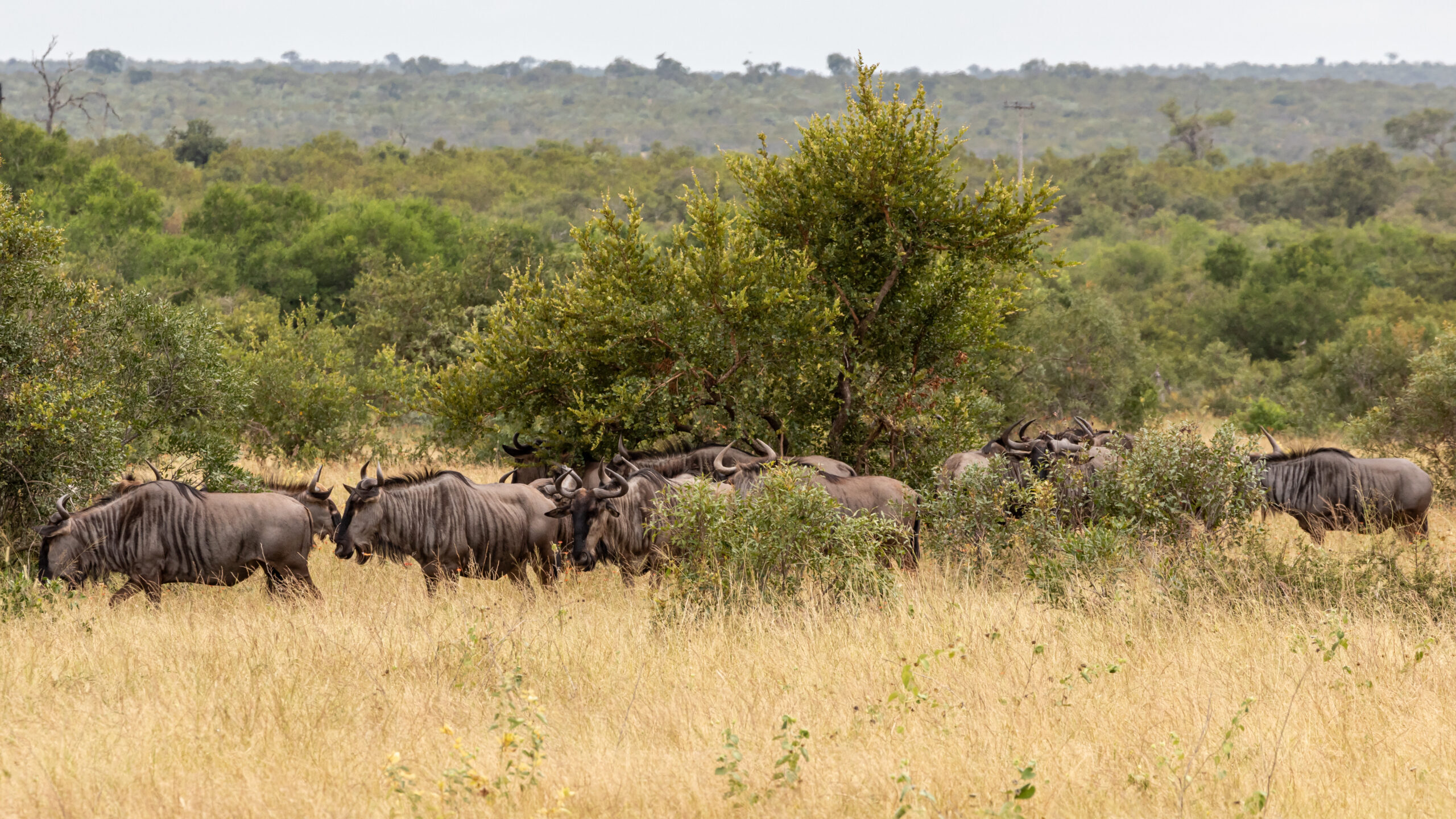 Best Seat Covers for Mining Vehicles in Limpopo