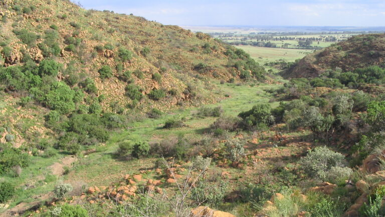 Seat Covers in Gauteng