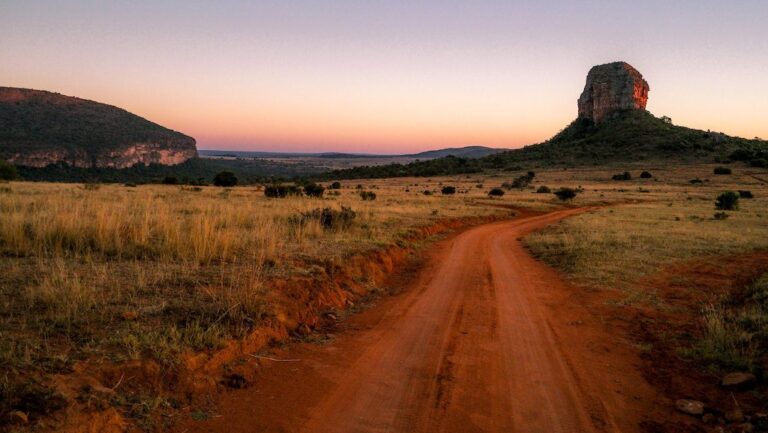 Best Seat Covers for Agricultural Vehicles and Tractors in Limpopo