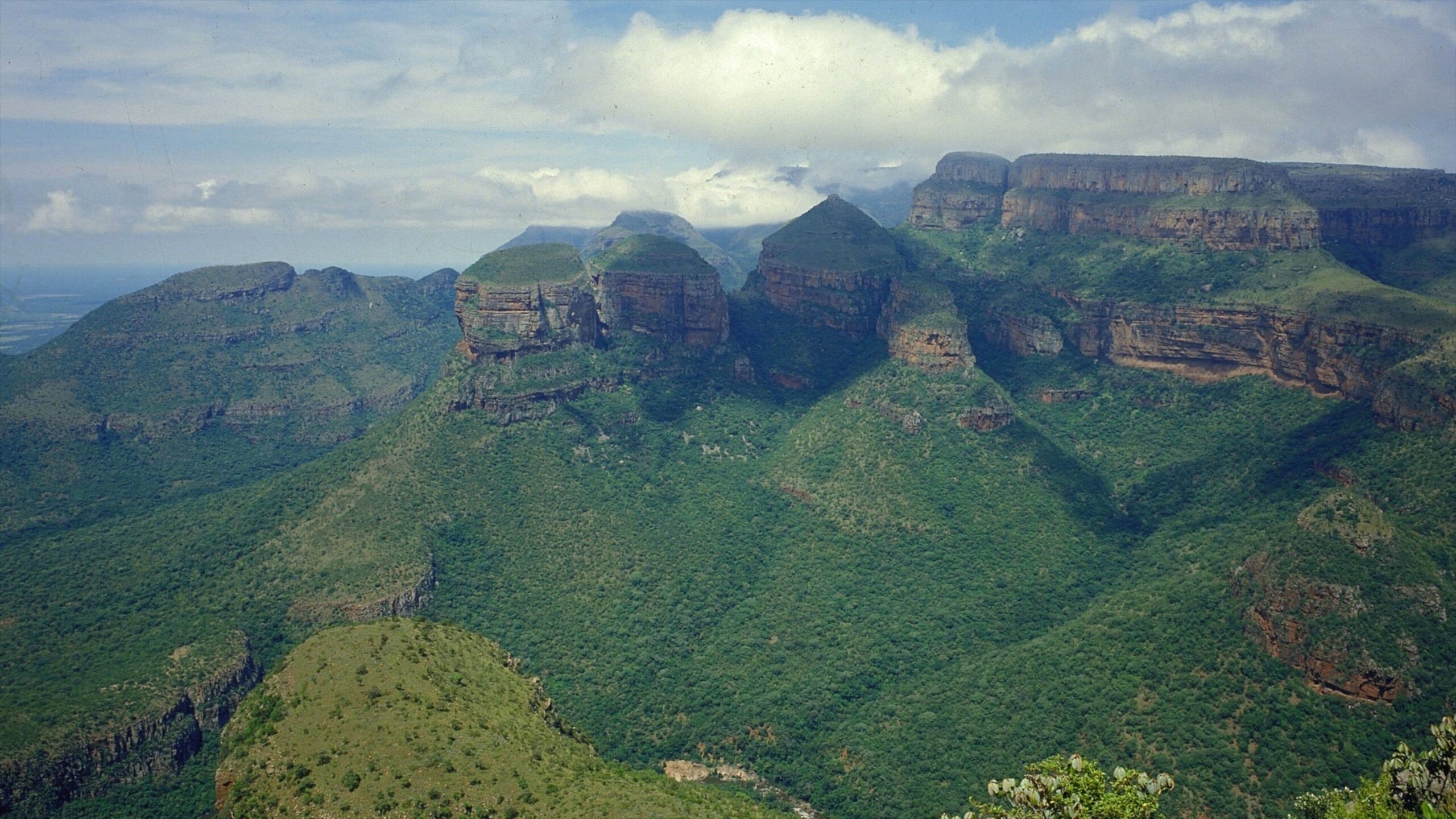 Best Seat Covers for Construction Vehicles in Limpopo
