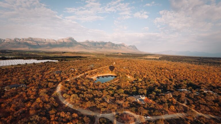 Best Seat Covers for Courier and Delivery Vehicles in Limpopo