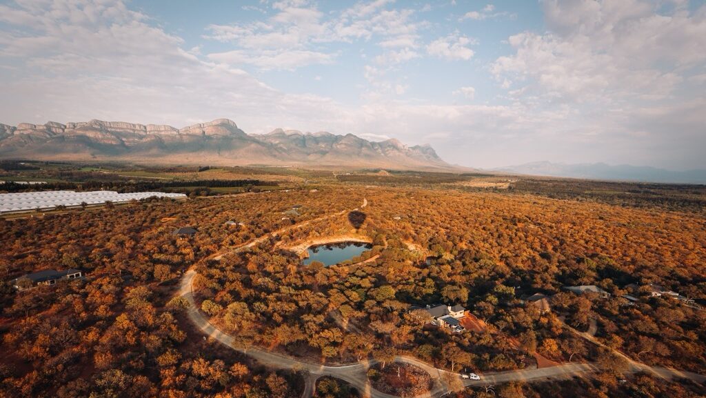 Best Seat Covers for Courier and Delivery Vehicles in Limpopo