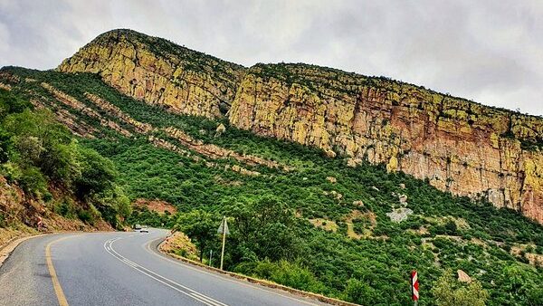 Best Seat Covers for Medical