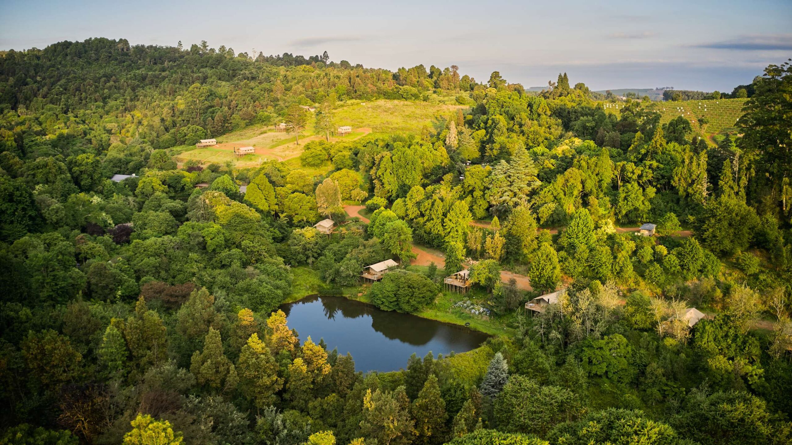 Best Seat Covers for Medical