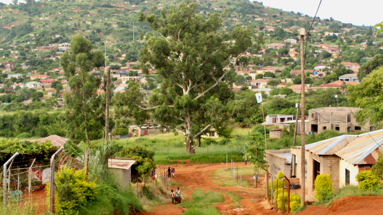 Best Seat Covers for School Transport Vehicles in Limpopo