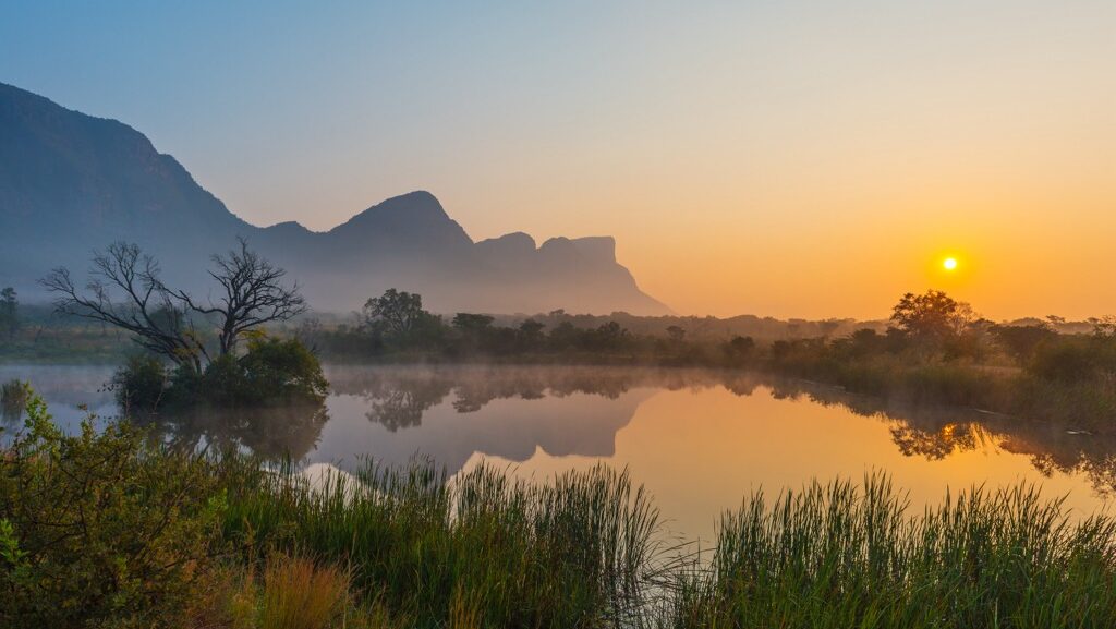 Best Seat Covers for Security Vehicles in Limpopo