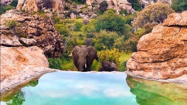 Best Seat Covers for Staff Transport