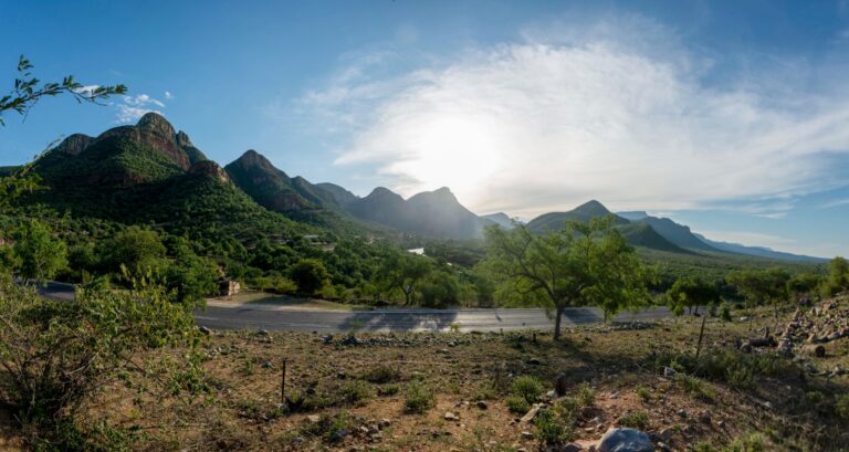 Best Seat Covers for Taxis and Shuttle Vehicles in Limpopo
