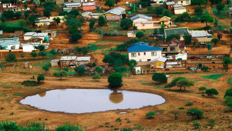 Isuzu D-Max Seat Covers