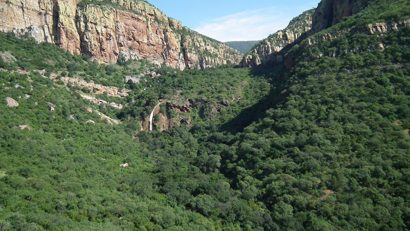 Seat Covers in Ohrigstad