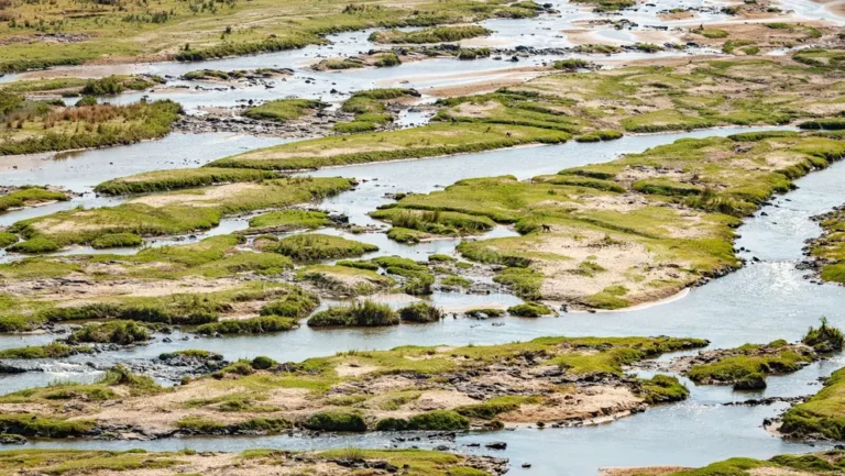 Toyota Fortuner Seat Covers