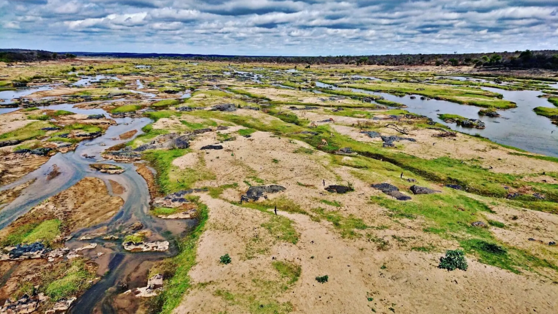 Toyota Fortuner Seat Covers in Limpopo