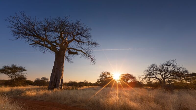 How to Choose Seat Covers for Rural Limpopo Roads