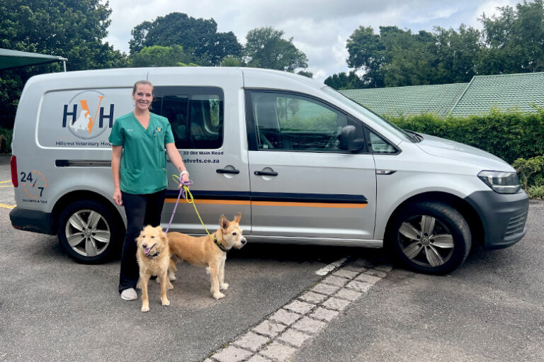 Seat Covers for Medical