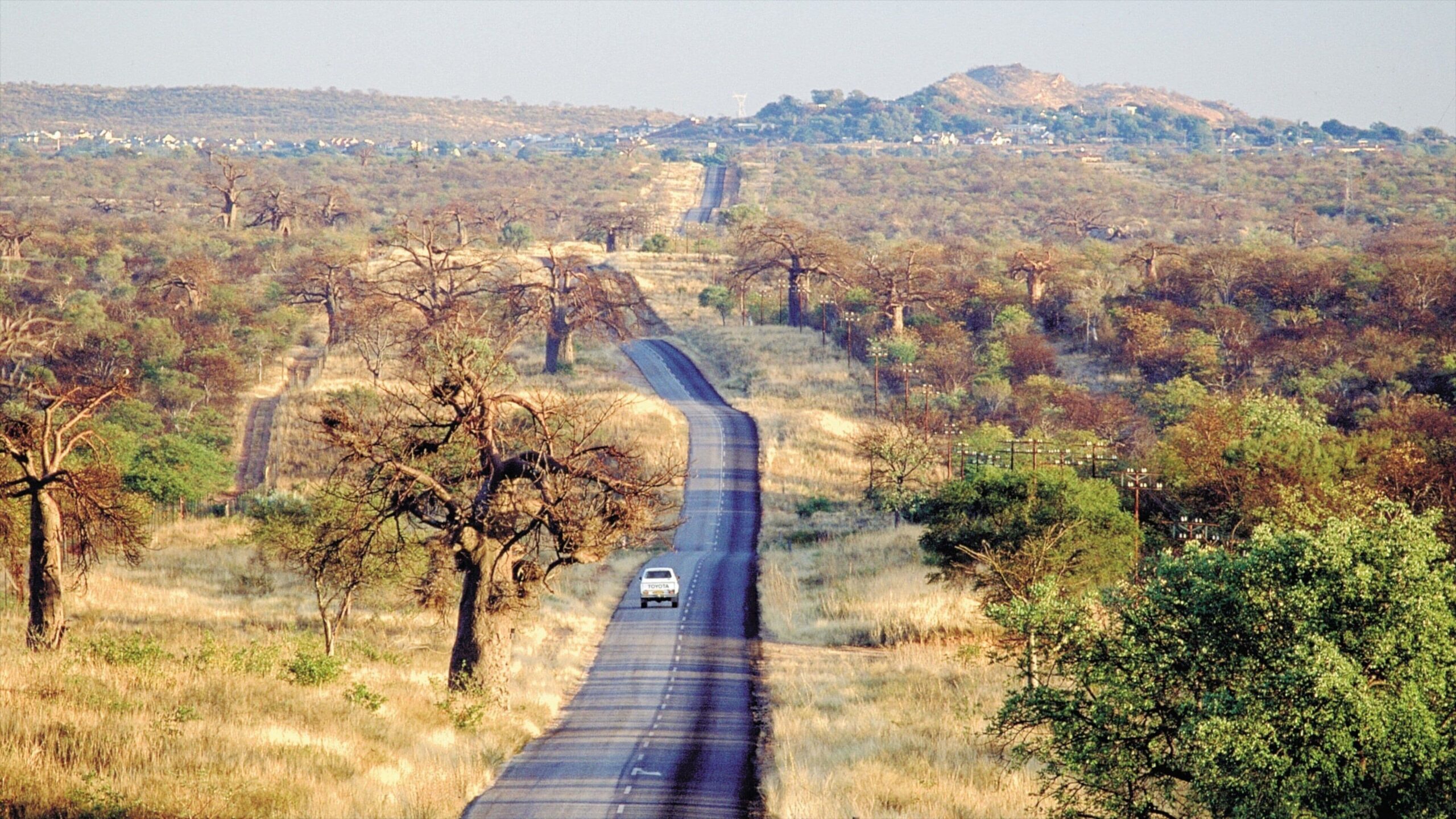 Read more about the article Seat Covers in Musina, Limpopo | Heavy-Duty Covers for Border, Freight & Work Vehicles
