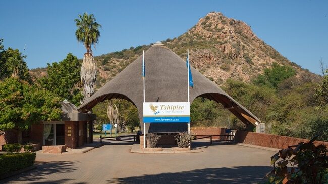 Seat Covers in Tshipise