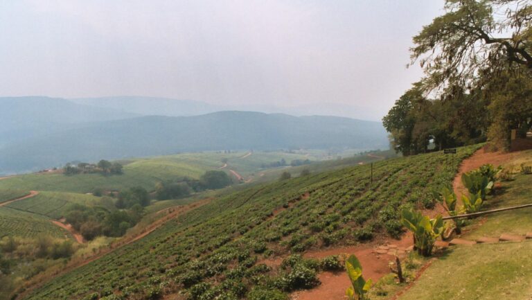 Seat Covers in Tzaneen