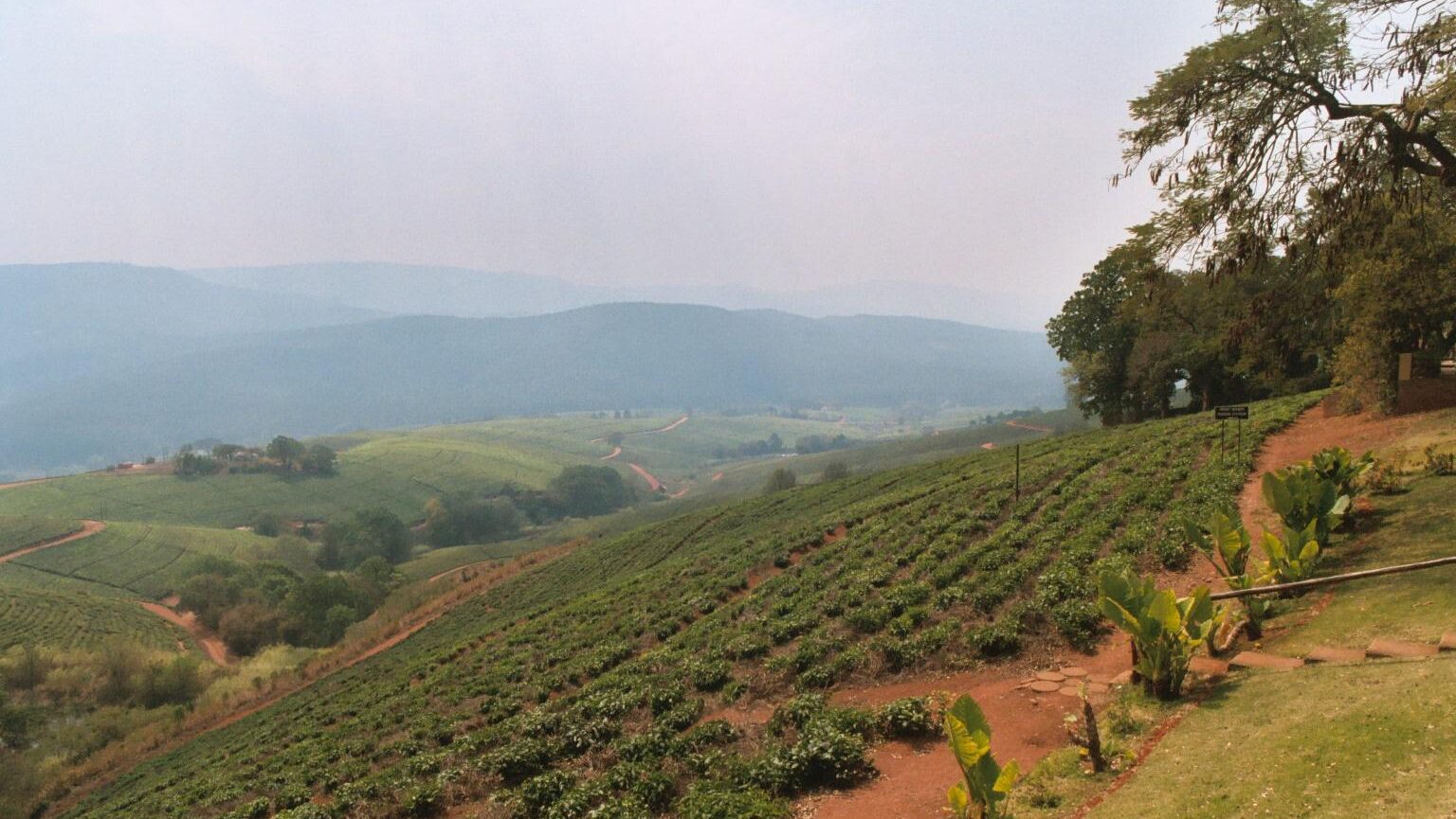 Seat Covers in Tzaneen