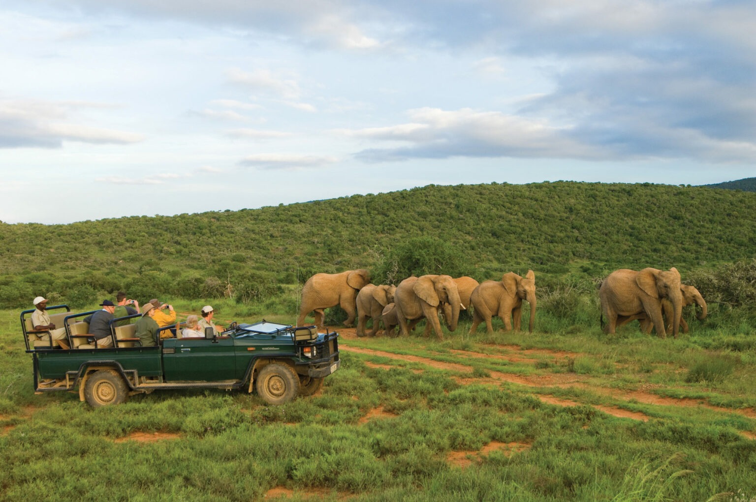 Eastern Cape Safari Vehicle Seat Covers