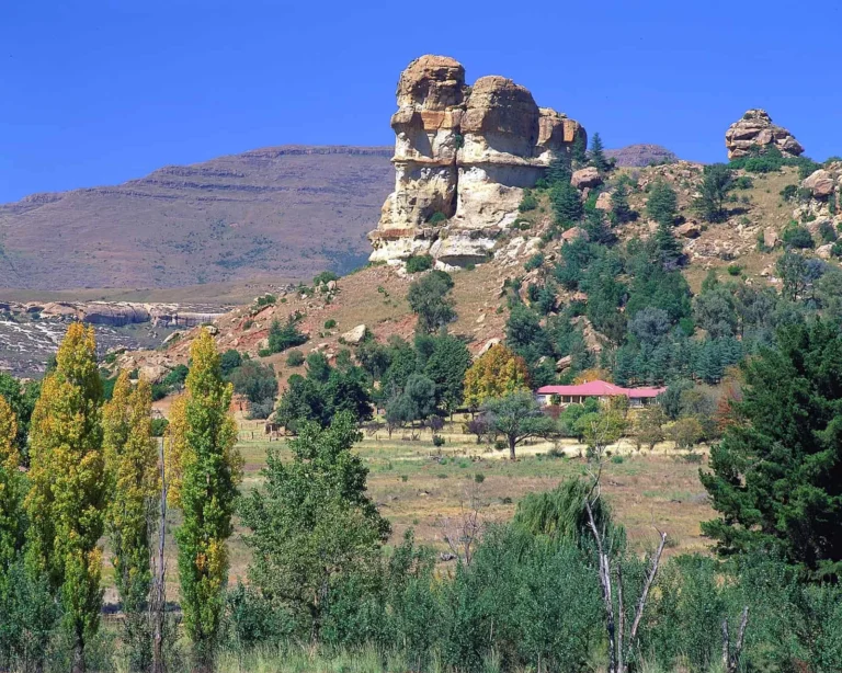 Free State Fleet and Taxi Seat Covers