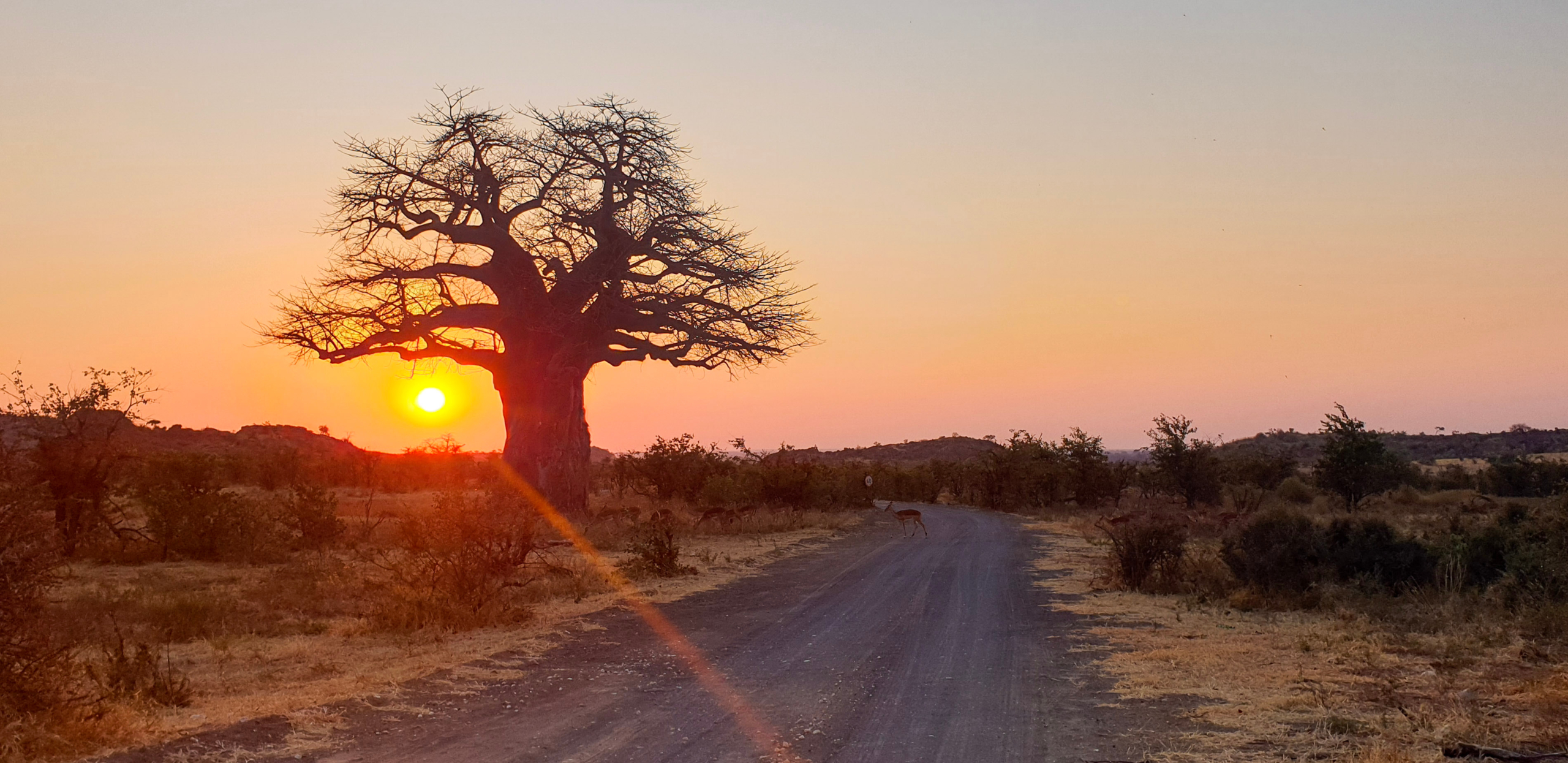 Read more about the article Limpopo 4×4 Bakkie Seat Covers for Bushveld, Farms & Rural Roads
