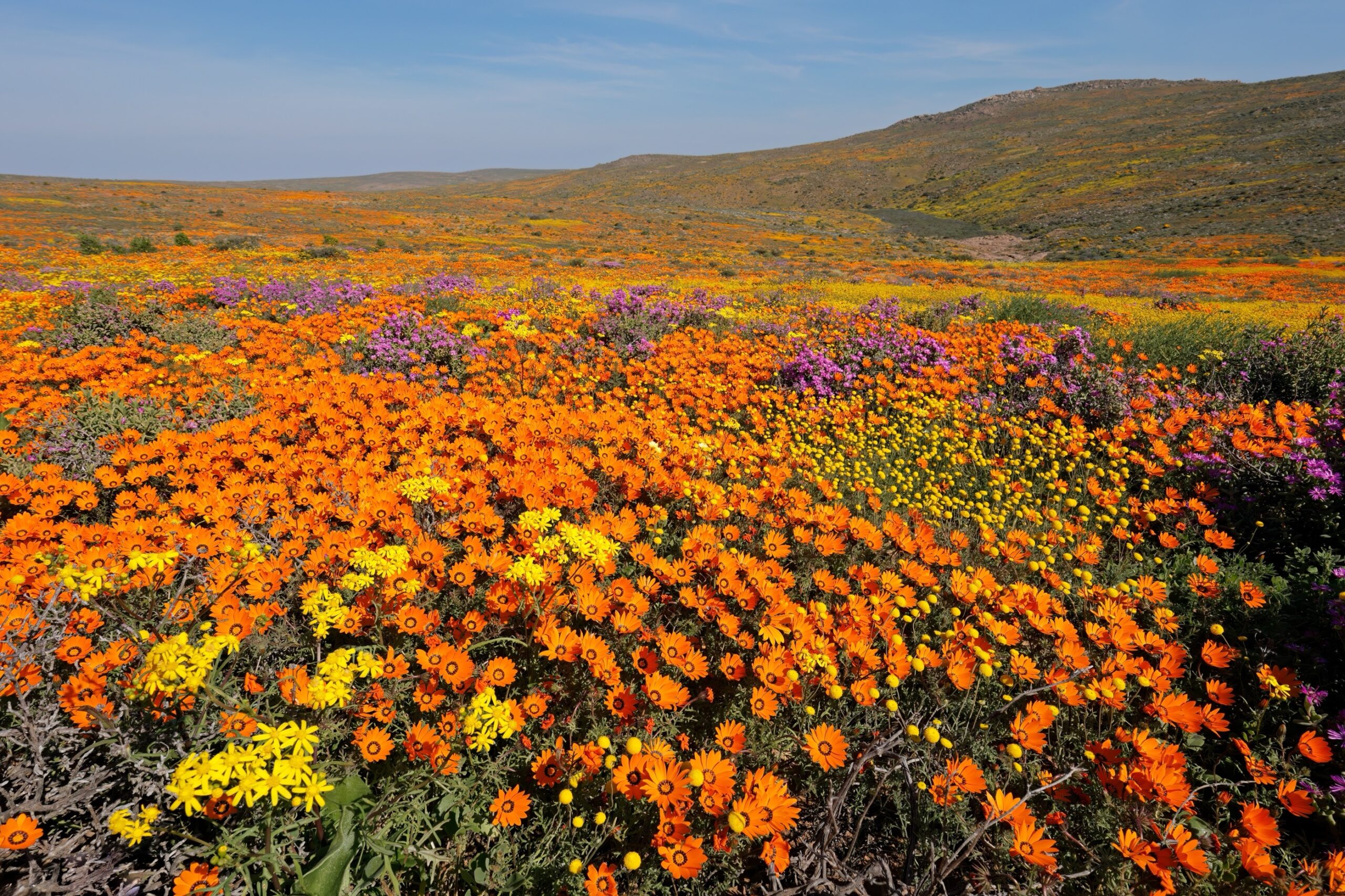 Northern Cape Agricultural Seat Covers