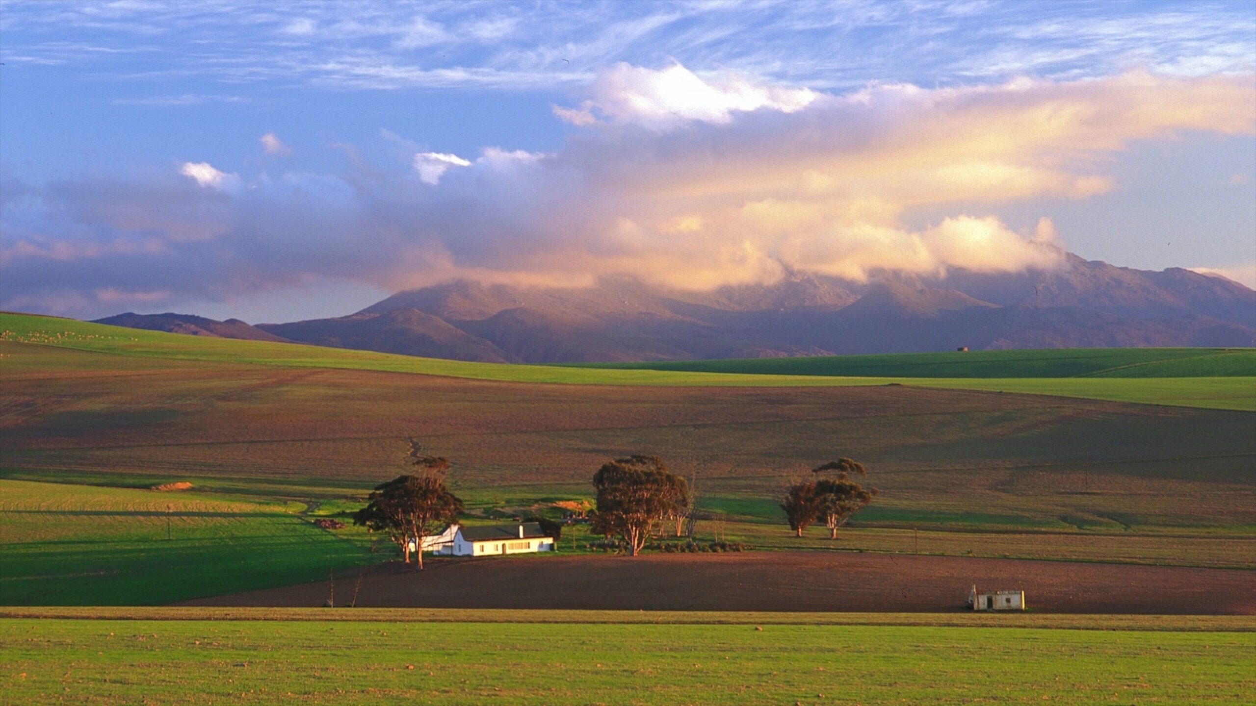 Western Cape Truck Seat Covers